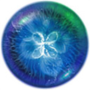 星噬Osmos官方版