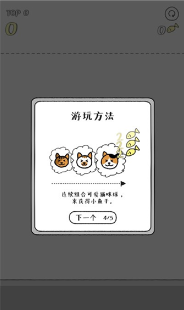 猫咪真的很爆爆