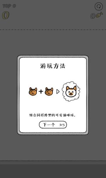 猫咪真的很爆爆