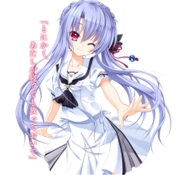 夏日口袋安卓汉化版