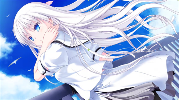 夏日口袋安卓汉化版