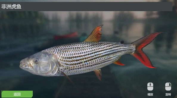 终极钓鱼模拟器中文版