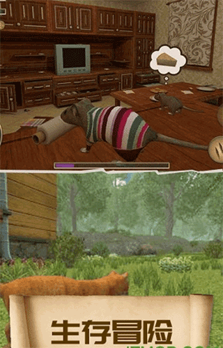 疯狂地鼠城正版截图2