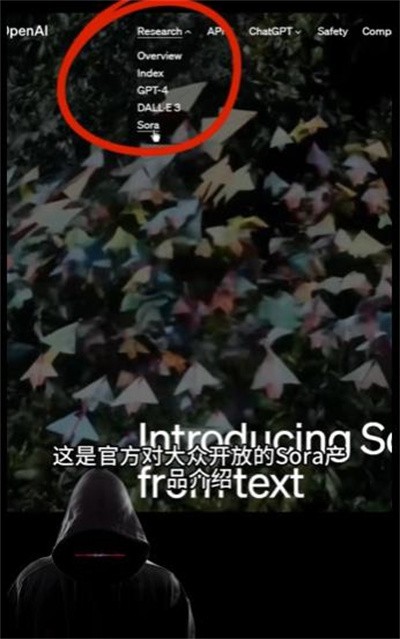 sora手机版app