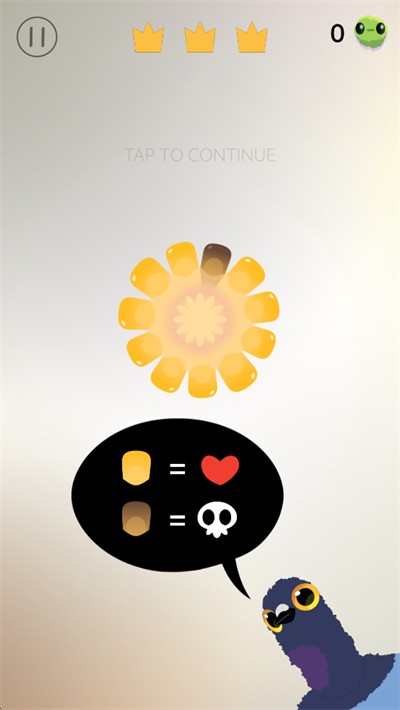 pigeon疯狂的鸽子