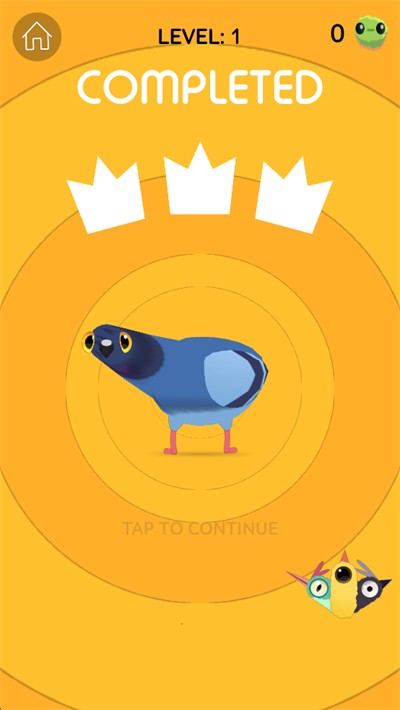 pigeon疯狂的鸽子