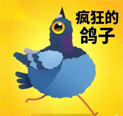 疯狂的鸽子皮肤获取途径介绍