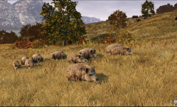 猎人之路狂野欧洲截图3