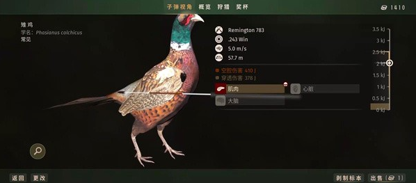 猎人之路狂野欧洲