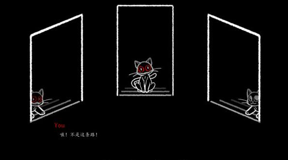 别带这只猫回家