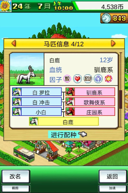 赛马牧场物语官方版