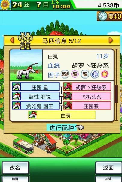 赛马牧场物语官方版