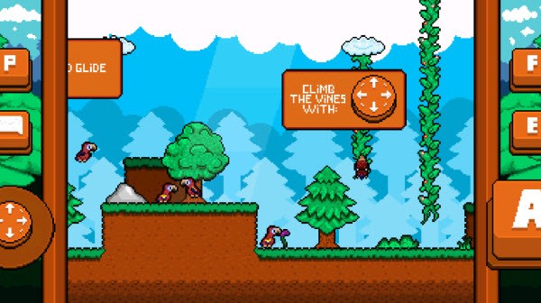 最后的金刚鹦鹉