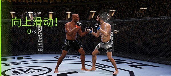 ufc4