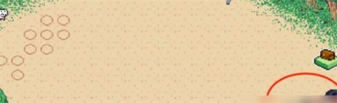 寻找夏日的宝物 第7张图