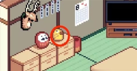 寻找夏日的宝物 第9张图