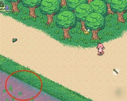 寻找夏日的宝物汉化版