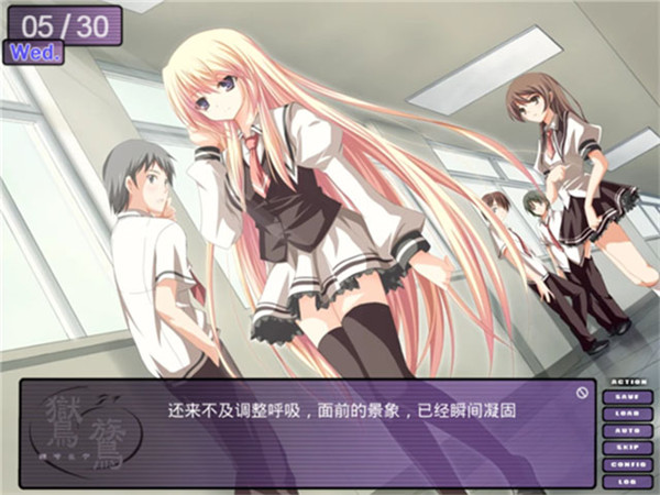 鸑鷟镜花水月截图4