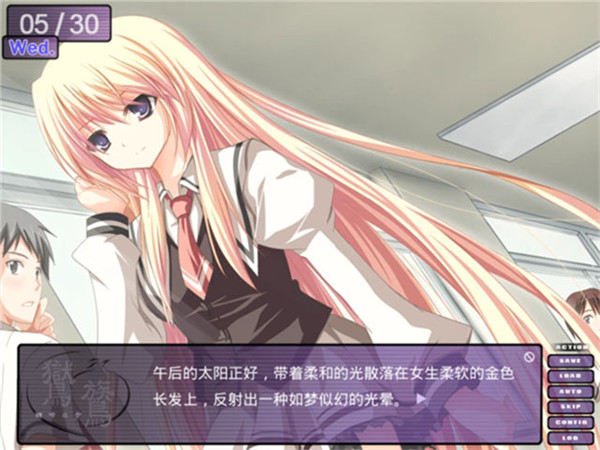 鸑鷟镜花水月截图2