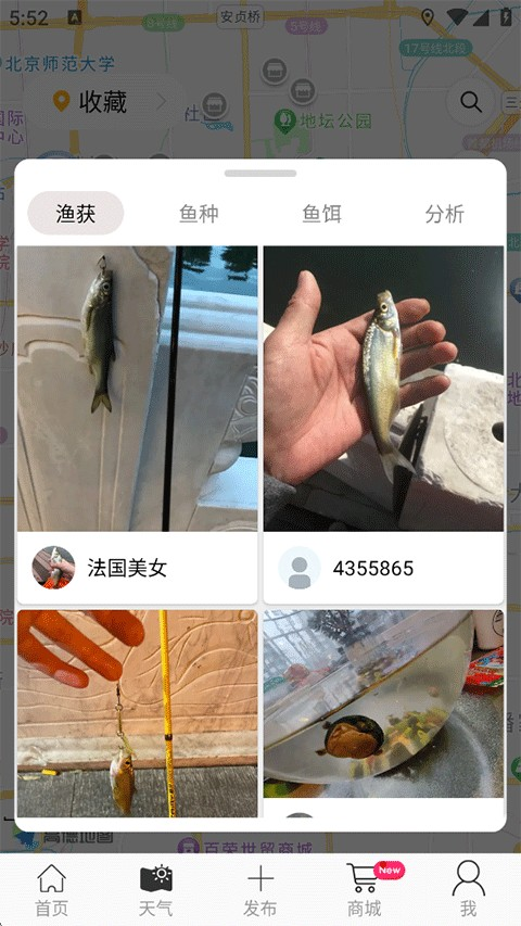 渔获天气官方版