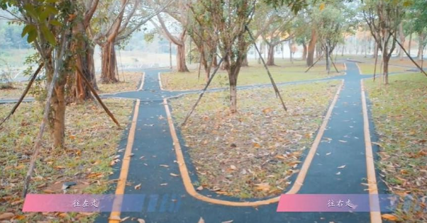 怦然心动的瞬间