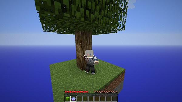 我的世界随机空岛生存截图1