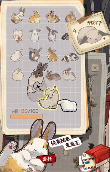 挤在一起的兔兔