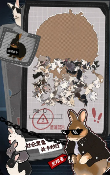 挤在一起的兔兔