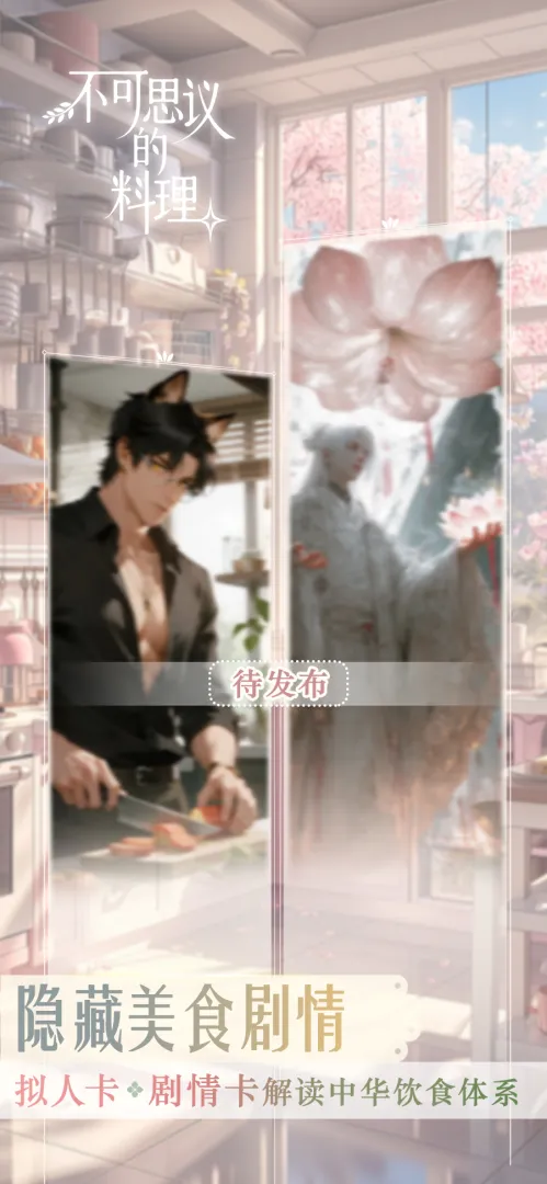 不可思议的料理