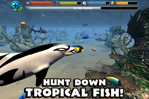 海豚模拟器截图2