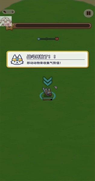 动物帮派