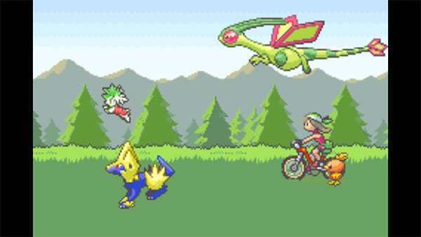 口袋妖怪空之花神截图4