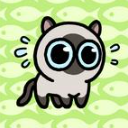 冒险猫游戏正版