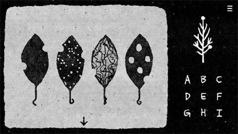 她的树迷梦截图1