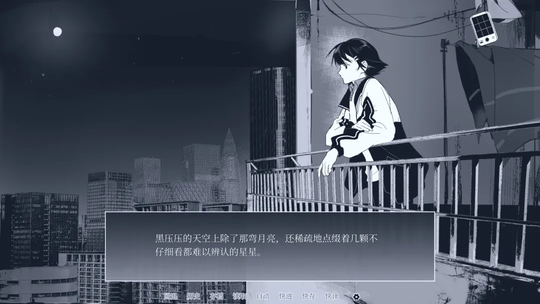 纤维