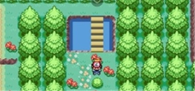 口袋妖怪格查尔截图2