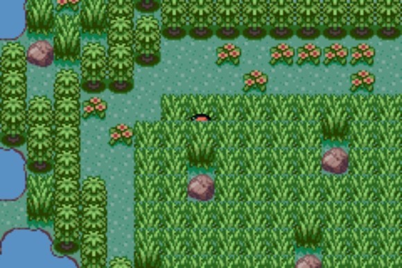 口袋妖怪格查尔萌娘版