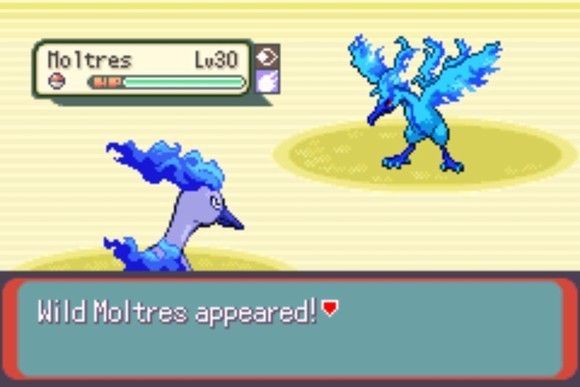 口袋妖怪格查尔萌娘版