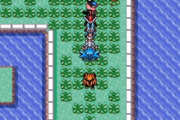 口袋妖怪格查尔萌娘版