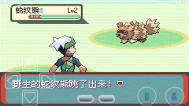 精灵宝可梦绿宝石中文版截图4