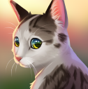猫咪救援故事