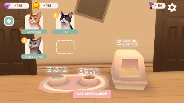 猫咪救援故事