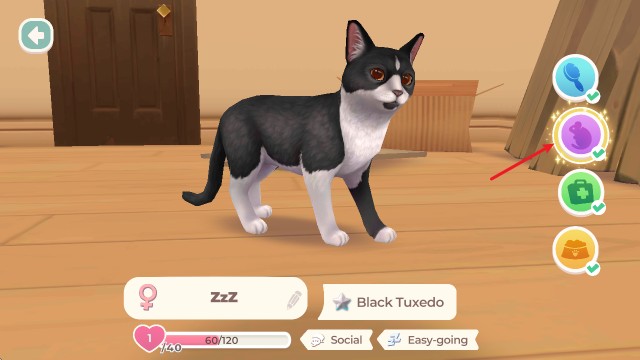 猫咪救援故事