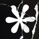绽放之歌
