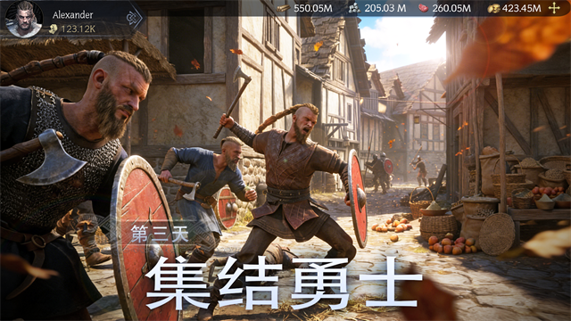 vikingard截图3