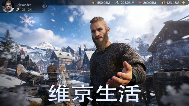 vikingard截图1