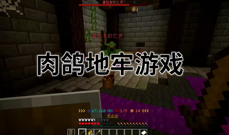 肉鸽地牢游戏