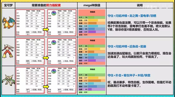 宝可梦冠军国际服