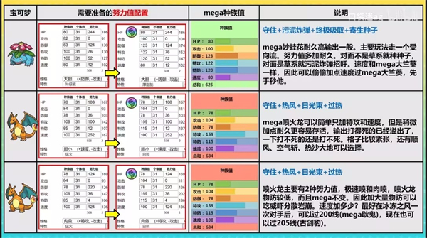 宝可梦冠军国际服
