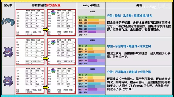 宝可梦冠军国际服
